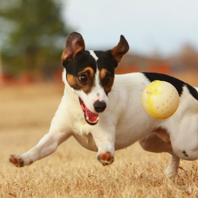 การตรวจสุขภาพทั่วไป (Annual Health Check Program)